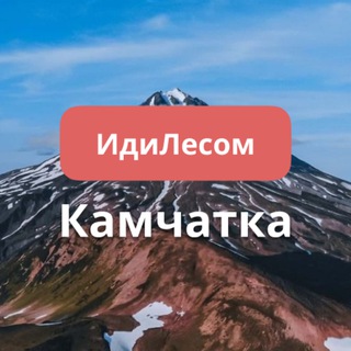 ИдиЛесом Камчатка путешествия