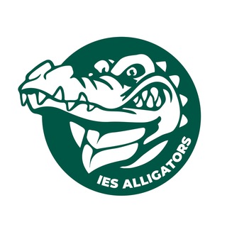 IES ALLIGATORS