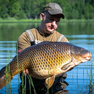 Igor Carp Angler 🎣