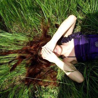 Вульпес Инкульта