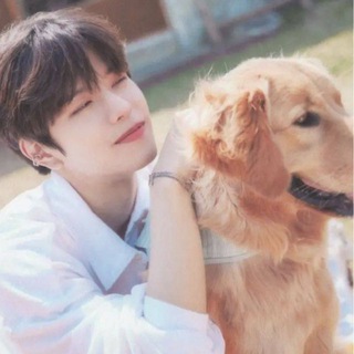 I got this e...nglish 🪻 | Stray Kids