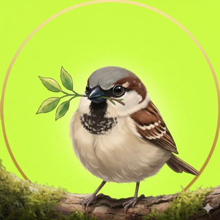 Татьяна Грибанова про iHerb