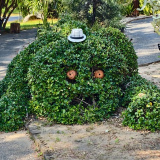 Цветочные побасёнки