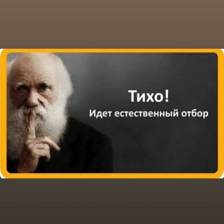 Их тупость🤡