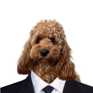 Для ваших отписок