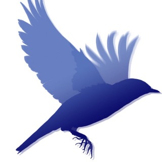 Издательство «Империя Илин»