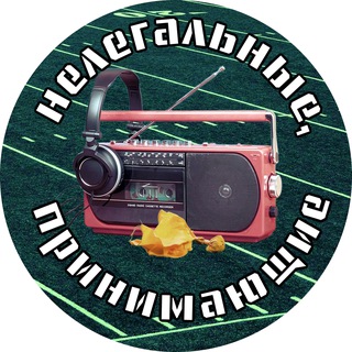 Нелегальные, принимающие