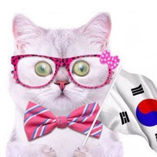 Корейский с нуля! 🇰🇷