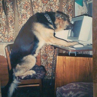 диана говорит