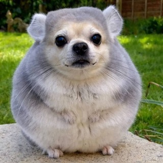 КОДЕЙНОСТЬ #ОЖАЛУЙНОСТЬ #SKELETONCITY