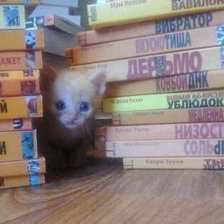 Поселковое литературоведение