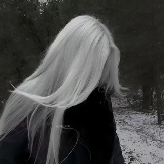 В поисках идеала.🌲