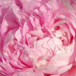 Ina Sekreto // О телесности, эмоциях и жизни