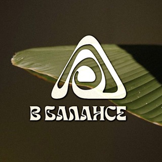 В БАЛАНСЕ •пространство для практик •