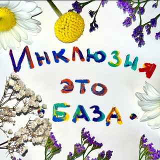Инклюзия - это база