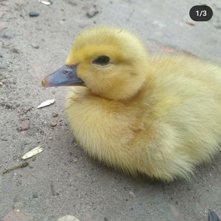 Багаевская усадьба ❤️