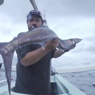 Индонезийский Экспресс