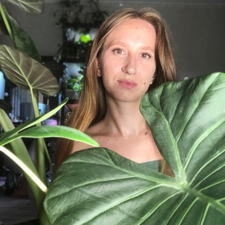 Комнатный оазис🪴