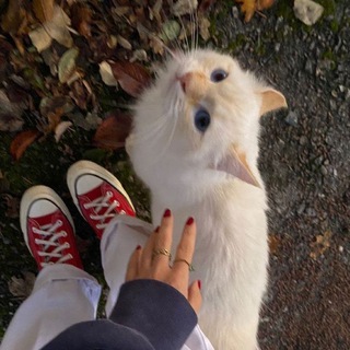 Лайфхаки для девочек