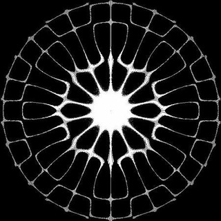 ▁ ▂ ▃ ▄ ▅ ▆ ▇