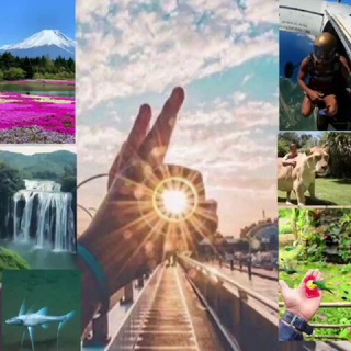 Этот удивительный мир...🌍🦗🦀🐬🐘🐇🦜🌴🪐 Путешествие, страны, природа