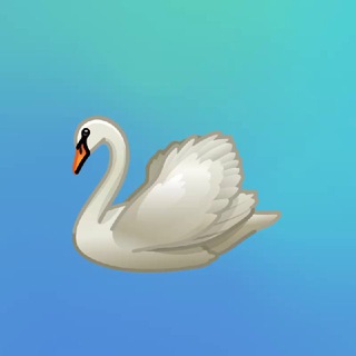 🌍 Ingilzcha O'zbekcha chat 🌏