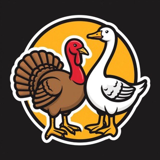 Инкубационное Яйцо ОПТ🐣