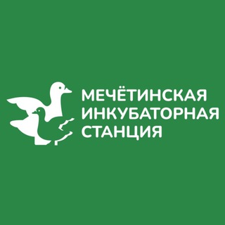 Мечётинская инкубаторная станция