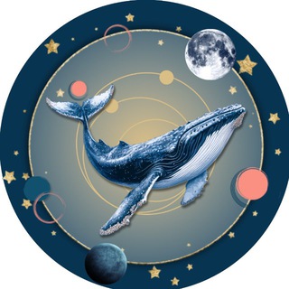 КИТЫ ЛИЧНОСТИ