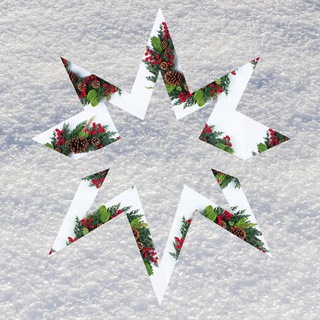 Иностранный агент*