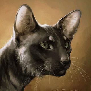 Nenormalniye | 𝐁𝐎𝐍𝐄𝐁𝐑𝐄𝐀𝐊𝐄𝐑