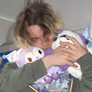 Тапочки инсейна