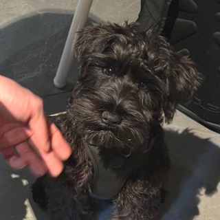 Инсайды Бобки 🐶