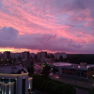 В Сосновом Бору любят/ищут❤️