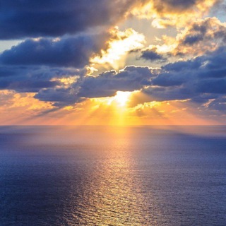 Neverending education