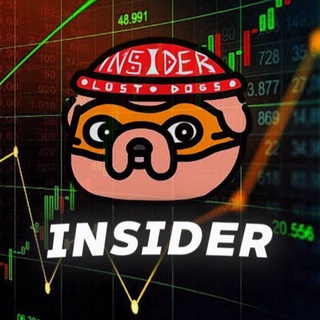 Insider News 🦴