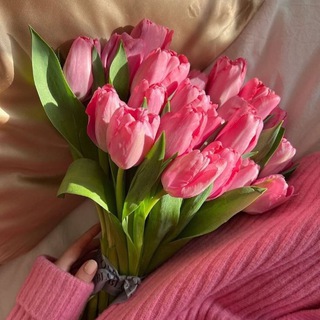 Переходник (Резерв Сторис)