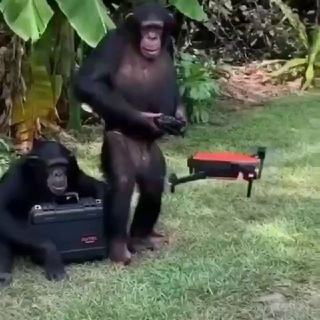 Дроны: агрегатор