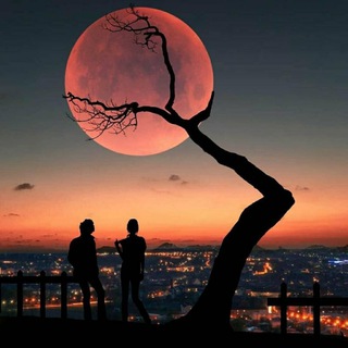 Разное и интересное в мире