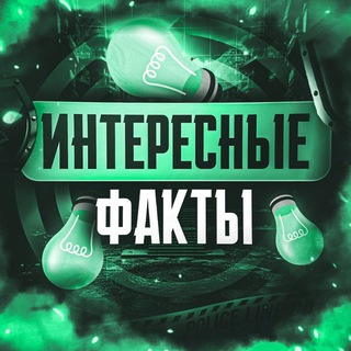 Интересные факты