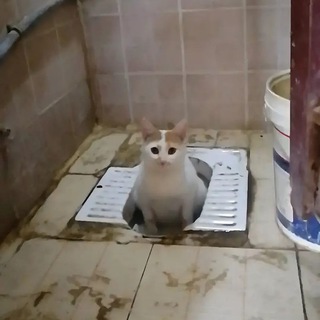 Странности интернета