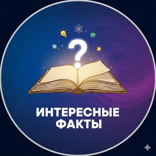 Интересные факты