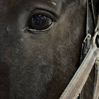 пещерный человек.