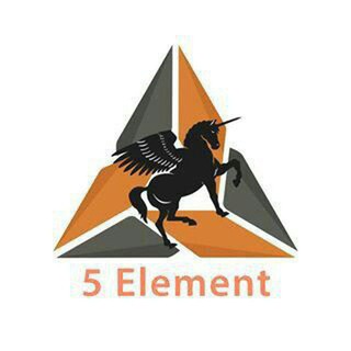5 Element обсуждения проектов. Запросы инвесторов!