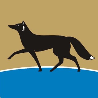 ИНВЕСТИРУЙ в СУРГУТ