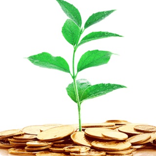 Инвестиционные будни