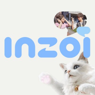 inZOI