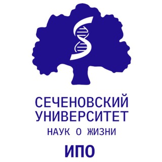 Институт профессионального образования