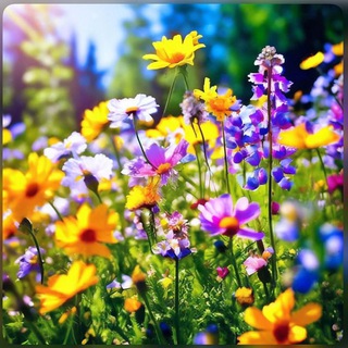 Ырӑ ир | Ырӑ кун пултӑр. Чӑвашла открыткасем тата ырӑ ир суннисем.