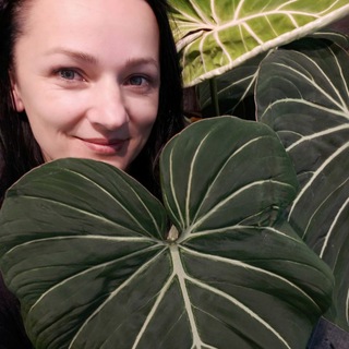 Зелёная полуфея🧚